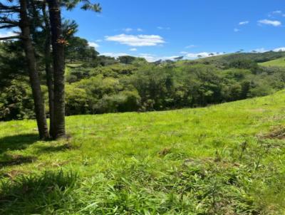 S�tio para Venda, em Rancho Queimado, bairro Invernadinha