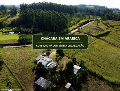 S�tio / Ch�cara para Venda, em Araric�, bairro , 4 dormit�rios, 2 banheiros, 2 vagas
