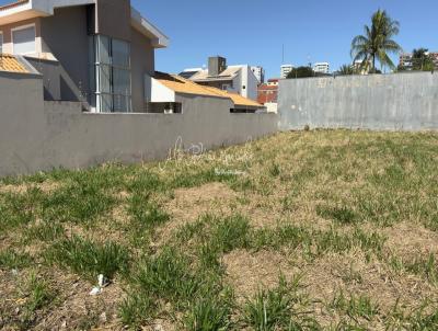 Terreno para Venda, em Mar�lia, bairro Maria Izabel