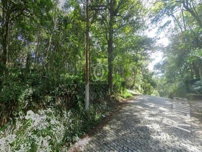 Terreno para Venda, em Ribeir�o Pires, bairro Quarta Divis�o
