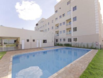 Apartamento para Venda, em Londrina, bairro Nossa Senhora de Lourdes, 2 dormit�rios, 2 banheiros, 1 vaga