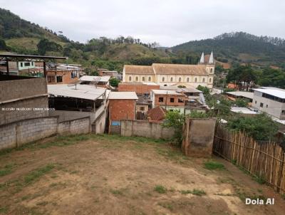 Terreno para Venda, em Juiz de Fora, bairro Paula Lima