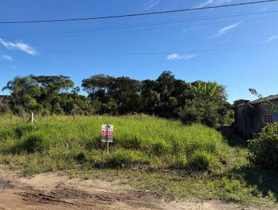 Terreno para Venda, em S�o Francisco do Sul, bairro ERVINO