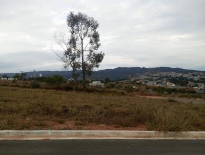 imagem-miniatura