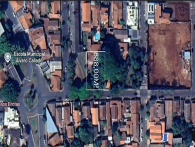 imagem-miniatura