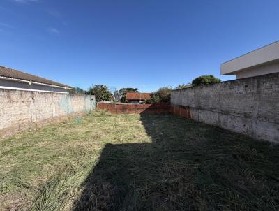 Terreno para Venda, em Astorga, bairro JD. PARAN� II