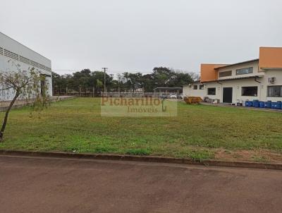 imagem-miniatura