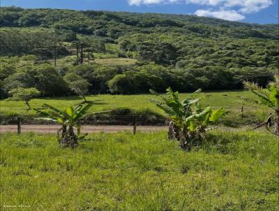 Casa de Campo para Venda, em Taquara, bairro , 3 dormit�rios, 1 banheiro