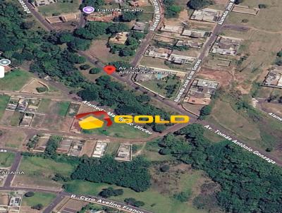 imagem-miniatura