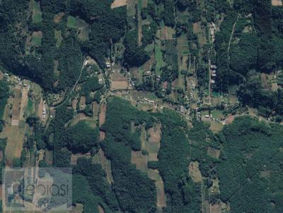 �rea Rural para Venda, em Garibaldi, bairro �rea Rural