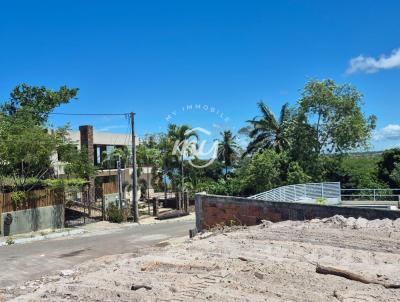 Lote para Venda, em Cama�ari, bairro Monte Gordo