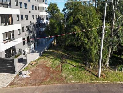 Terreno para Venda, em Dois Irm�os, bairro Primavera