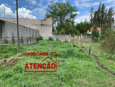 Terreno para Venda, em Ca�apava, bairro Tata�ba