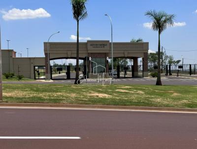 Terreno para Venda, em Ribeir�o Preto, bairro Residencial Alto do Castelo