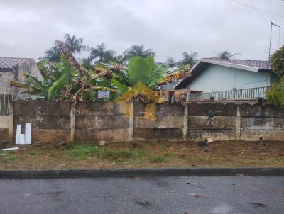 Terreno para Venda, em Guaratinguet�, bairro Engenheiro Neiva