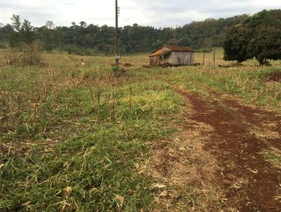 Ch�cara para Venda, em Marechal C�ndido Rondon, bairro Distrito de Margarida