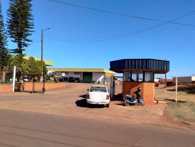 Barrac�o para Loca��o, em Palmital, bairro Paran�