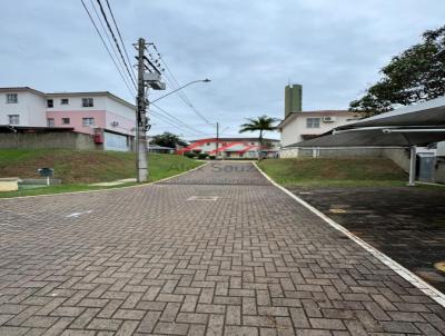 imagem-miniatura