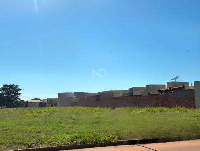 imagem-miniatura