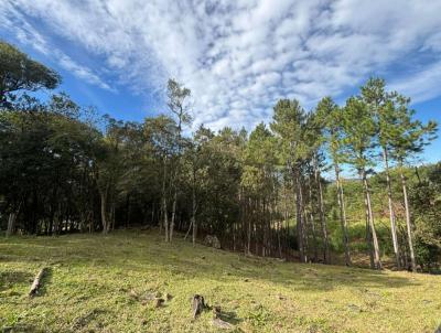 S�tio para Venda, em Gramado, bairro 