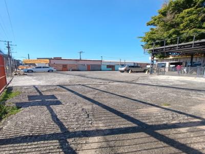 Terreno para Venda, em Gravata�, bairro Dona Mercedes