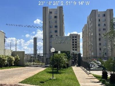 imagem-miniatura