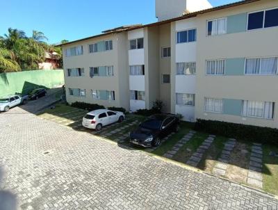 imagem-miniatura