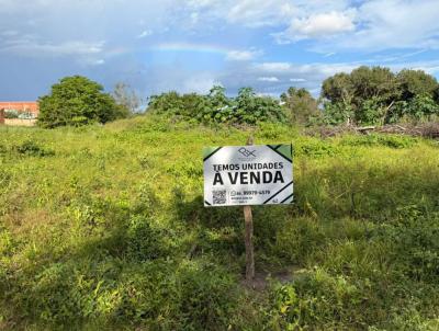 Lan�amentos para Venda, em Cocal, bairro CENTRO