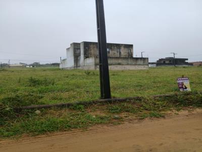 imagem-miniatura