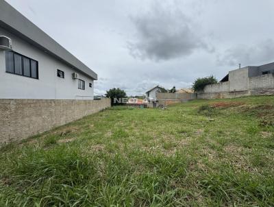 imagem-miniatura