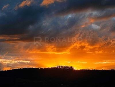 Ch�cara para Venda, em Parob�, bairro Santa Cristina