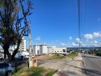 Terreno para Venda, em Crici�ma, bairro Vila Floresta II