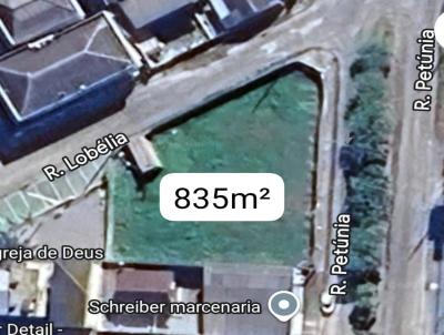 Terreno para Venda, em Palho�a, bairro Jardim Eldorado