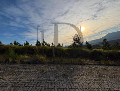 Terreno para Venda, em Araric�, bairro Bela Vista
