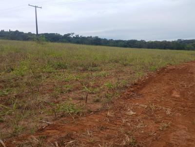 S�tio para Venda, em Santo Ant�nio da Alegria, bairro RURAL