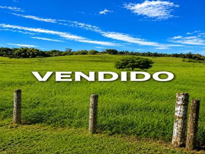 Fazenda para Venda, em Araruama, bairro S�o Vicente de Paula, 1 dormit�rio, 1 banheiro
