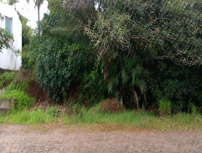 Terreno para Venda, em , bairro Progresso