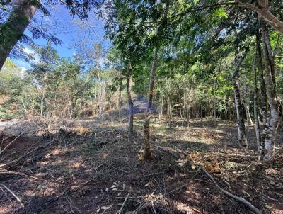 Terreno para Venda, em Areal, bairro S�o Pedro
