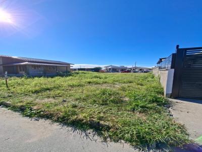 Terreno para Venda, em Palho�a, bairro Guarda do Cubat�o