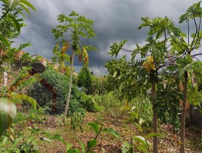Terreno para Venda, em Pindorama, bairro Jardim das Palmeiras