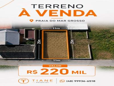 imagem-miniatura