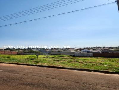 Terreno para Venda, em Rol�ndia, bairro Jardim Vale Verde