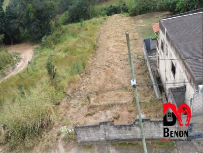 imagem-miniatura