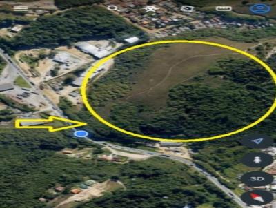 Gleba para Venda, em Almirante Tamandar�, bairro Mato Dentro