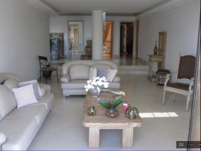 imagem-miniatura
