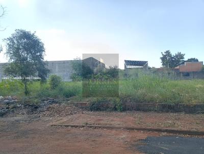 Terreno para Venda, em , bairro Vila Brasil