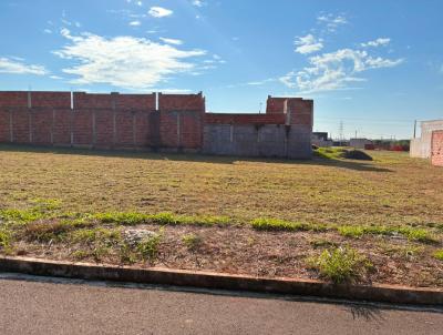 Terreno para Venda, em Promiss�o, bairro Para�so II