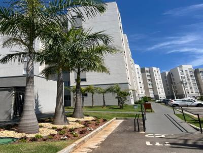 Apartamento para Venda, em Pouso Alegre, bairro S�o Jo�o