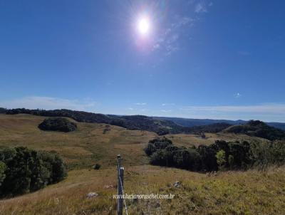�rea Rural para Venda, em Cambar� do Sul, bairro Zona Rural