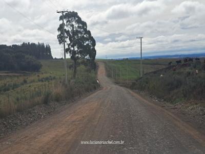 �rea Rural para Venda, em S�o Francisco de Paula, bairro Zona Rural